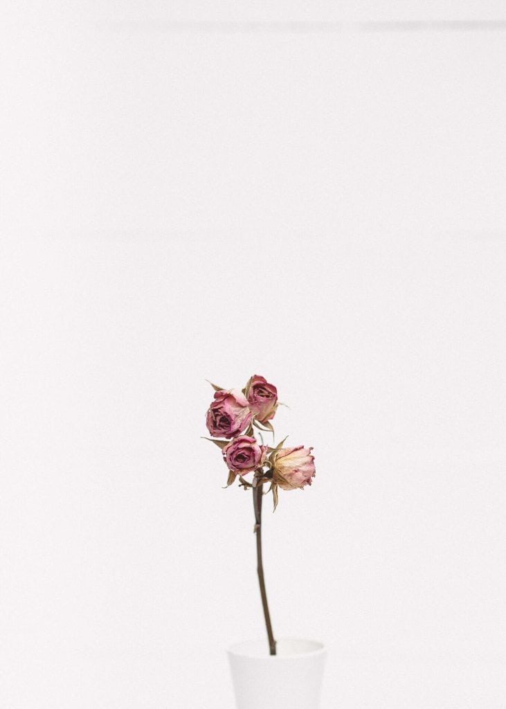 tanalee-youngblood-341674-unsplash