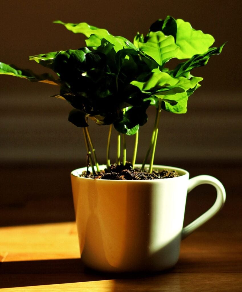 Professional Self-Care For New Therapists