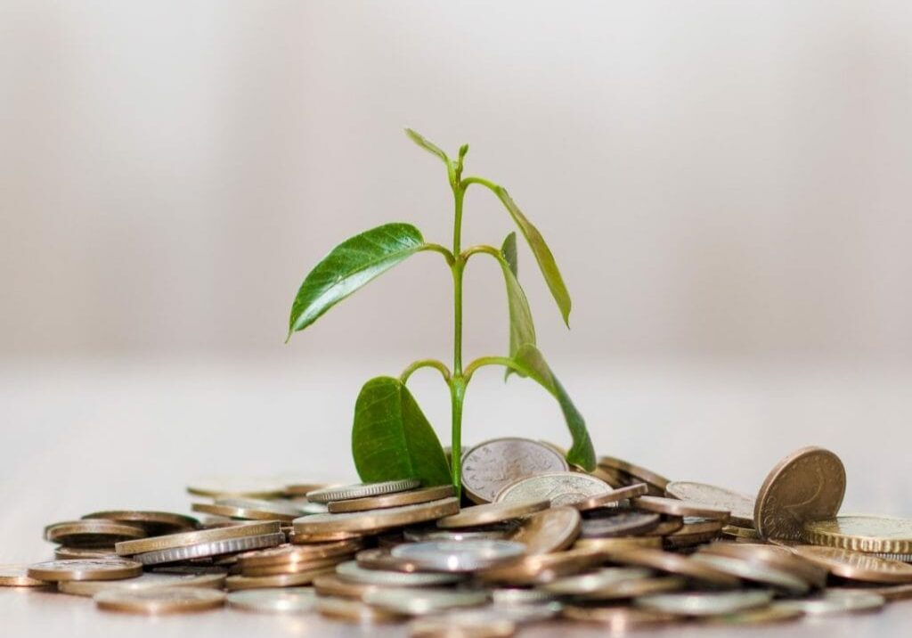 small pile of coins with plant sprout